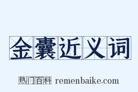 金囊近义词是什么意思的图片